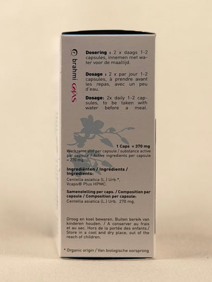 Brahmi Ojas — 60 Capsules